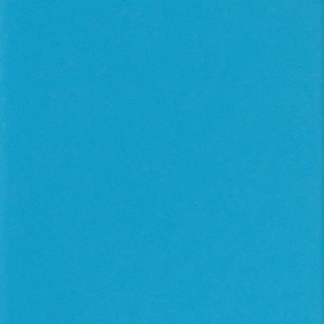 Fina Swimming Pool Tiles